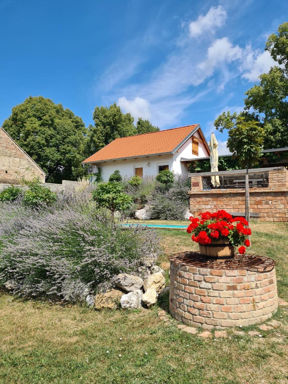 La Bobul Apartments Drnholec Buitenkant foto